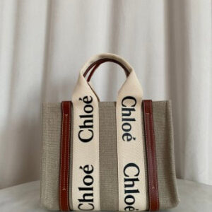 Chloe Bicolor Woody Small Top Handle Bag