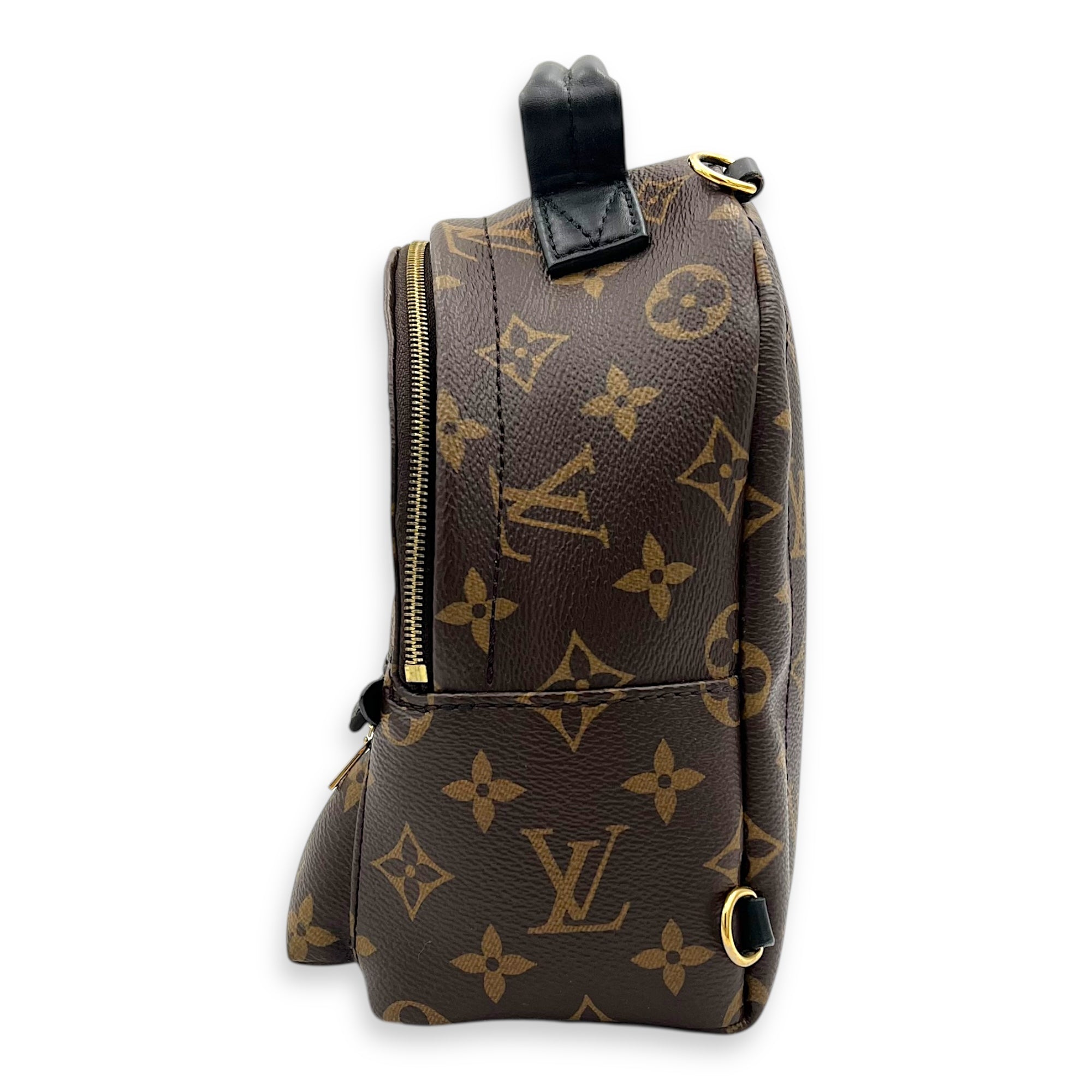 Palm Springs Mini Brown Backpack in Monogram Coated Canvas, Gold hardware - Image 5