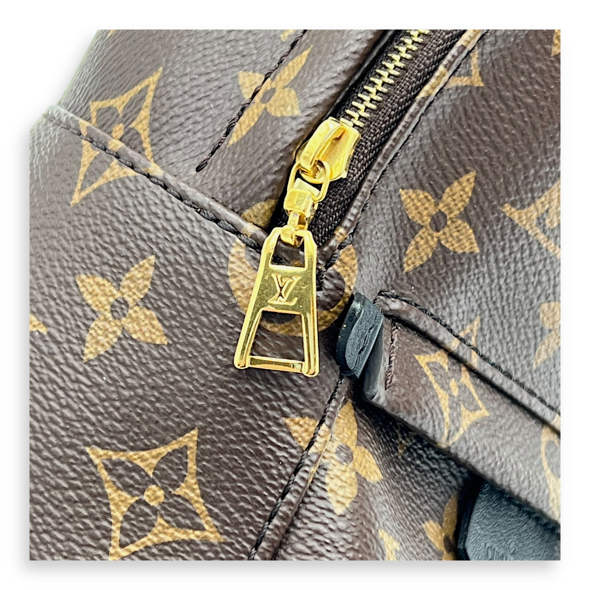 Palm Springs Mini Brown Backpack in Monogram Coated Canvas, Gold hardware - Image 8