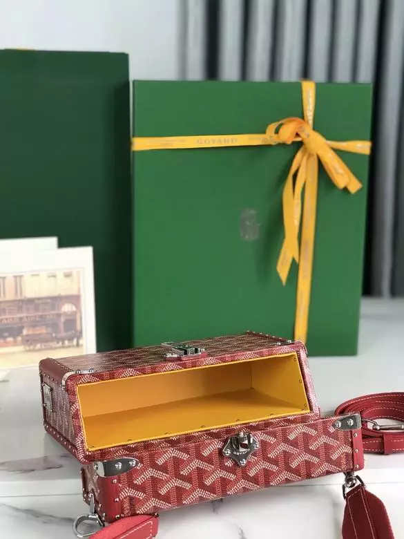 Goyard Cassette Trunk Bag - Repbags.ru - Image 9