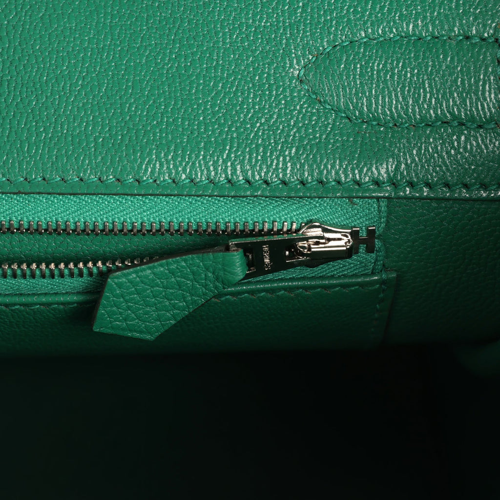 Custom "Paradise" Swarovski Crystal Hermes Birkin 30 Vert Vertigo Togo Palladium Hardware - Image 9