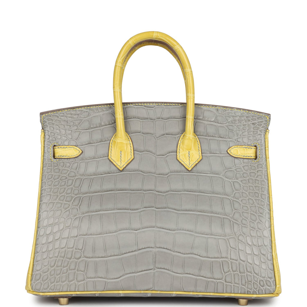 Hermes Special Order (HSS) Birkin 25 Gris Perle and Mimosa Matte Alligator Brushed Gold Hardware - Image 5