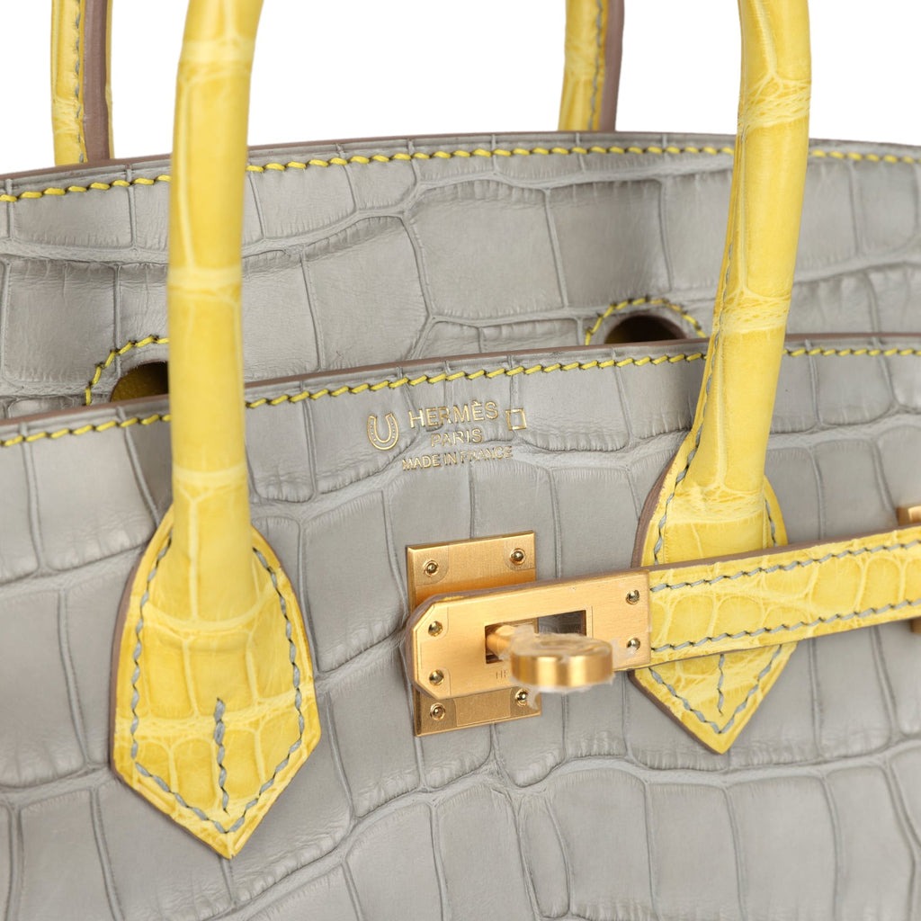 Hermes Special Order (HSS) Birkin 25 Gris Perle and Mimosa Matte Alligator Brushed Gold Hardware - Image 8