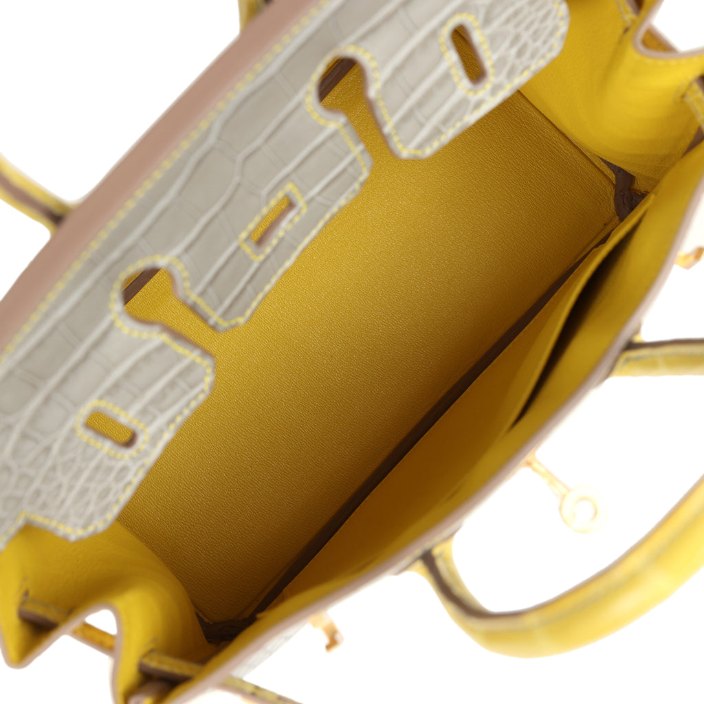 Hermes Special Order (HSS) Birkin 25 Gris Perle and Mimosa Matte Alligator Brushed Gold Hardware - Image 9