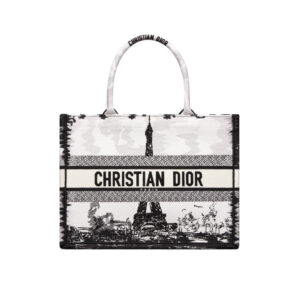 Medium Dior Book Tote Paris Embroidery - Repbags.ru