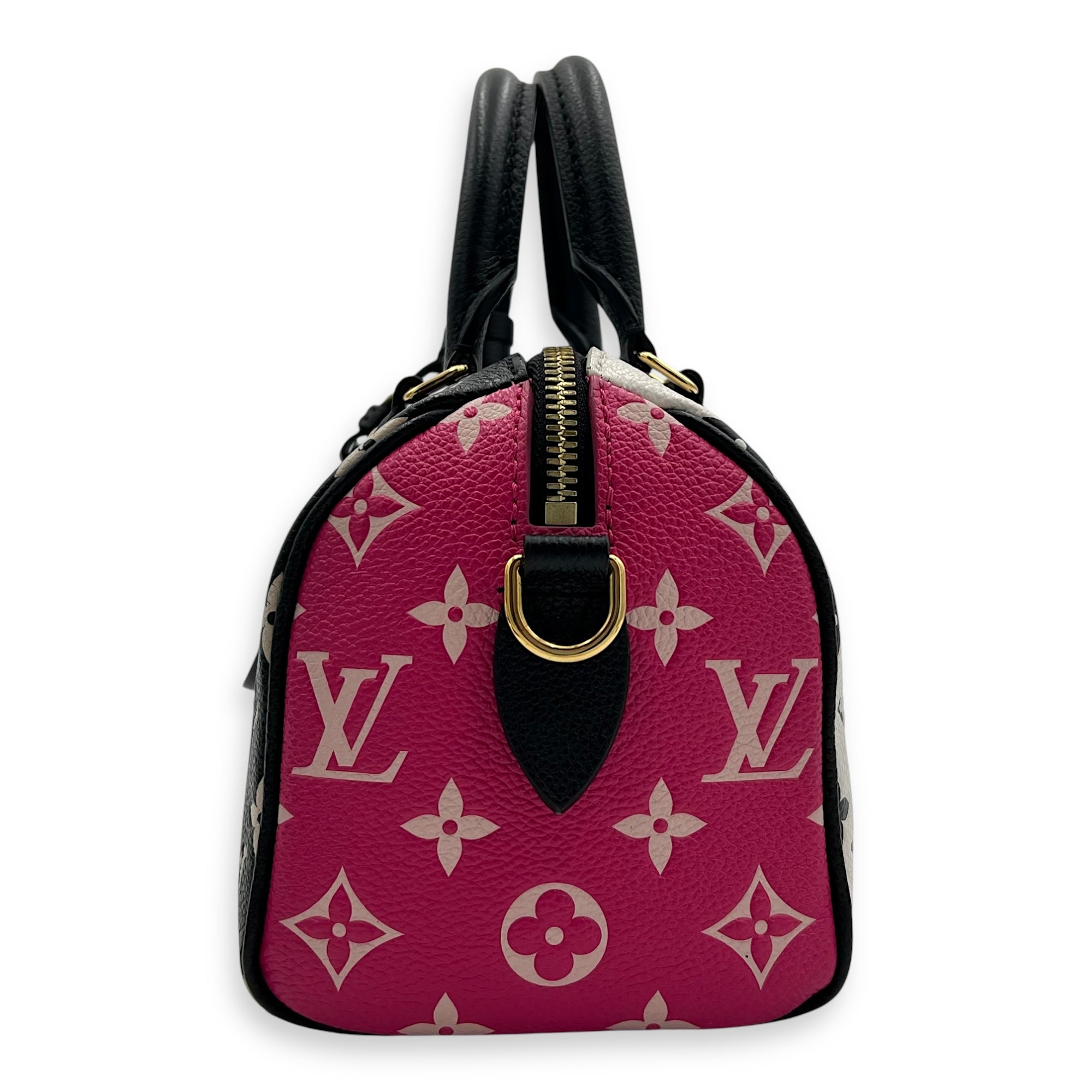 Speedy Top Handle Bag Multi-colour in Calfskin, Gold hardware - Image 5