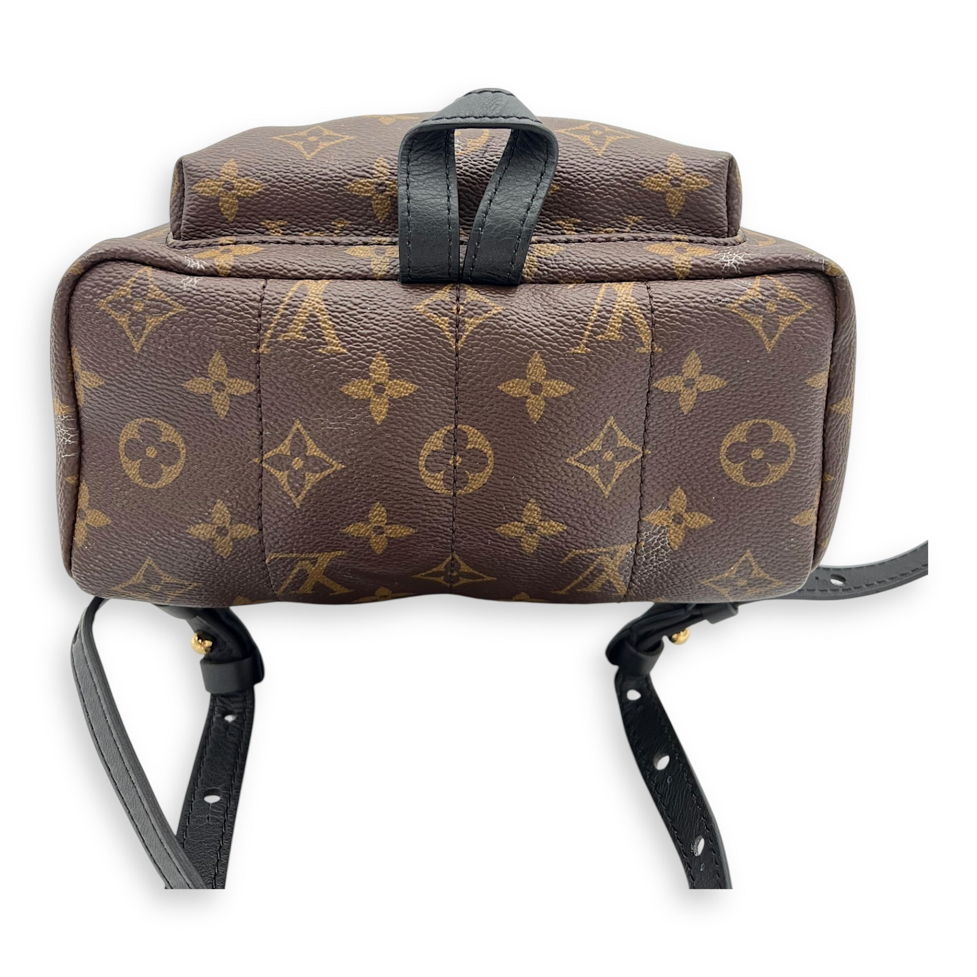 Palm Springs PM Brown Backpack in Monogram Coated Canvas, Gold hardware - Image 6