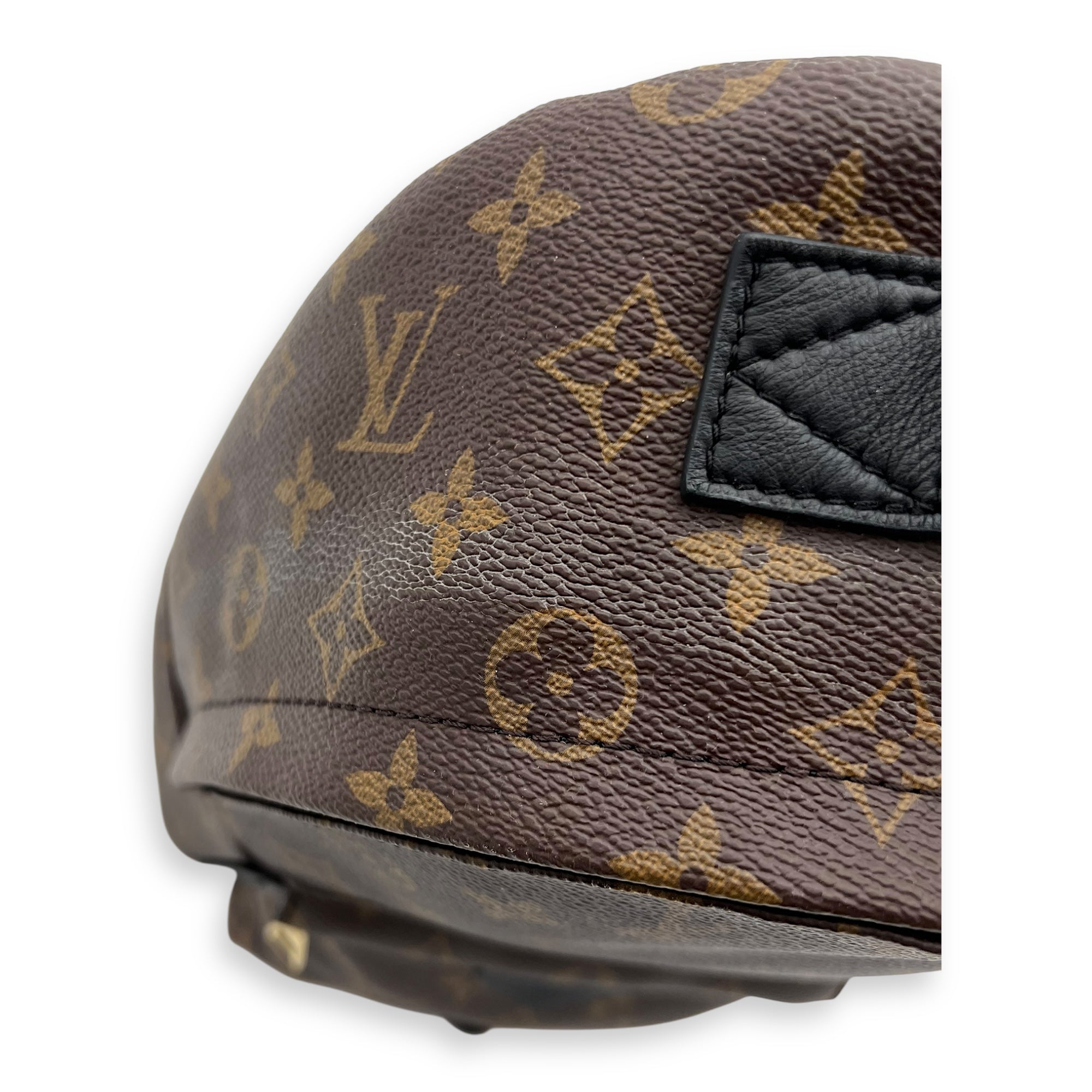 Palm Springs PM Brown Backpack in Monogram Coated Canvas, Gold hardware - Image 10