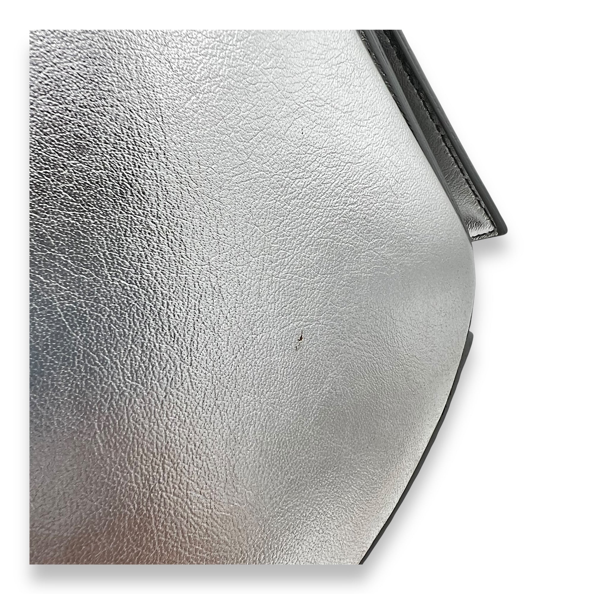 Pandora Box Medium Silver Crossbody Bag in Lizard Embossed Calfskin, Silver hardware - Image 9