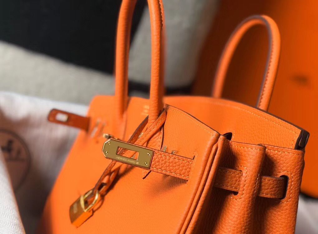 Hermes Birkin 25cm Bag In Orange Clemence Leather GHW - Image 7