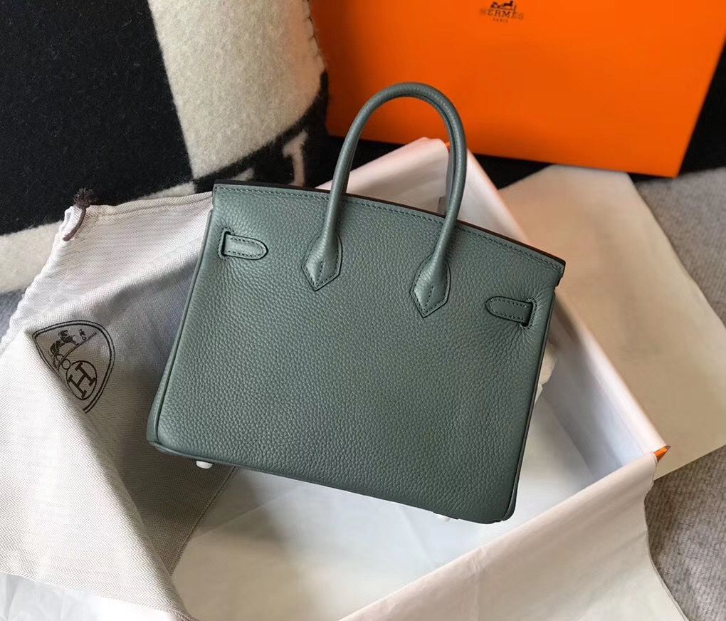 Hermes Birkin 25cm Bag In Vert Amande Clemence Leather GHW - Image 3