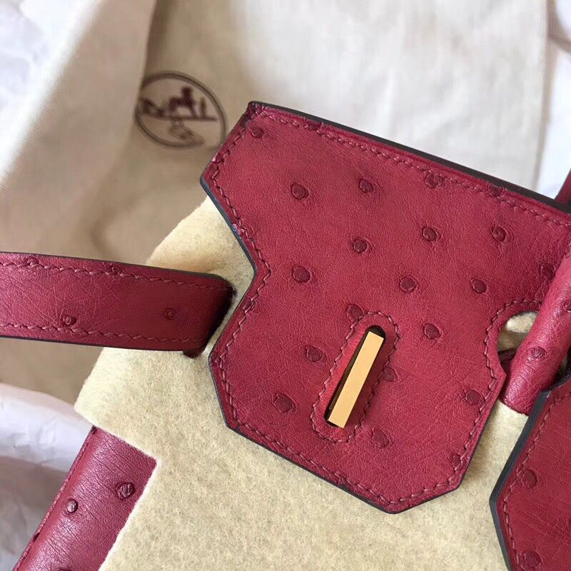 Hermes Birkin 30 Handmade Bag In Ruby Ostrich Skin - Image 7