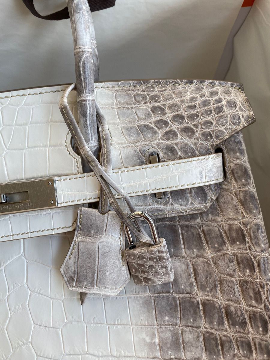 Hermes Birkin 25 Retourne Bag In Himalaya Niloticus Crocodile Skin - Image 4