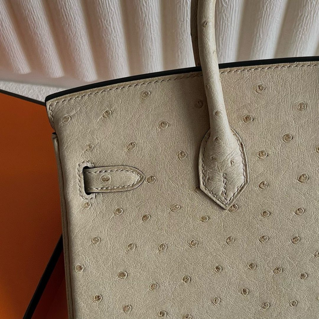 Hermes Birkin 25 Retourne Handmade Bag In Trench Ostrich Leather - Image 7