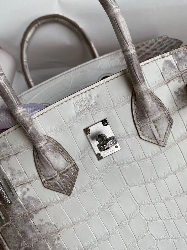 Hermes Diamond Birkin 25cm In Himalaya Niloticus Crocodile Skin - Image 9