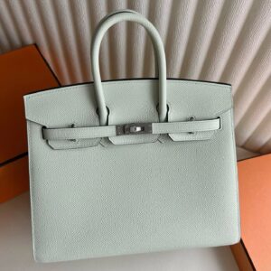 Hermes Birkin 25 Sellier Handmade Bag in Vert Fizz Epsom Calfskin