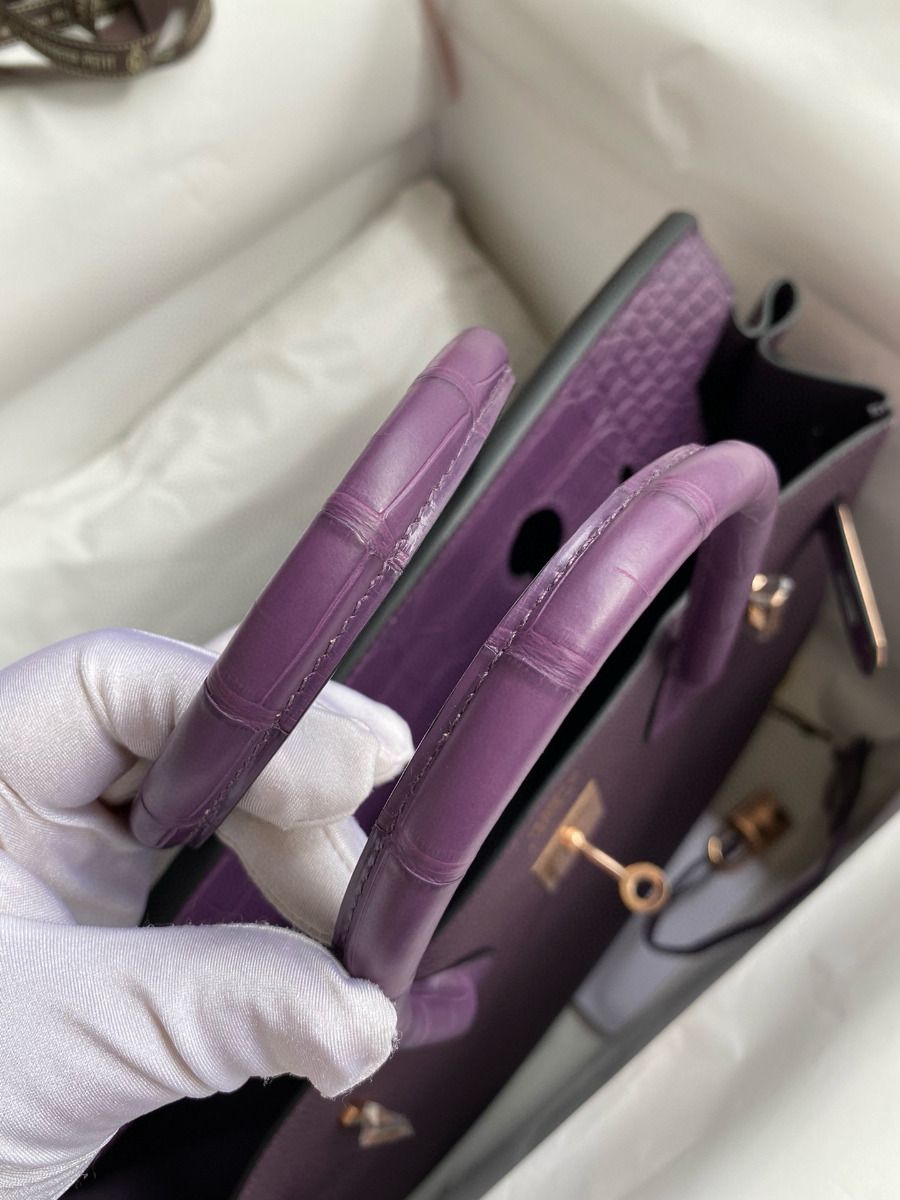 Hermes Touch Birkin 30 Bag in Raisin Clemence and Matte Alligator Leather - Image 10