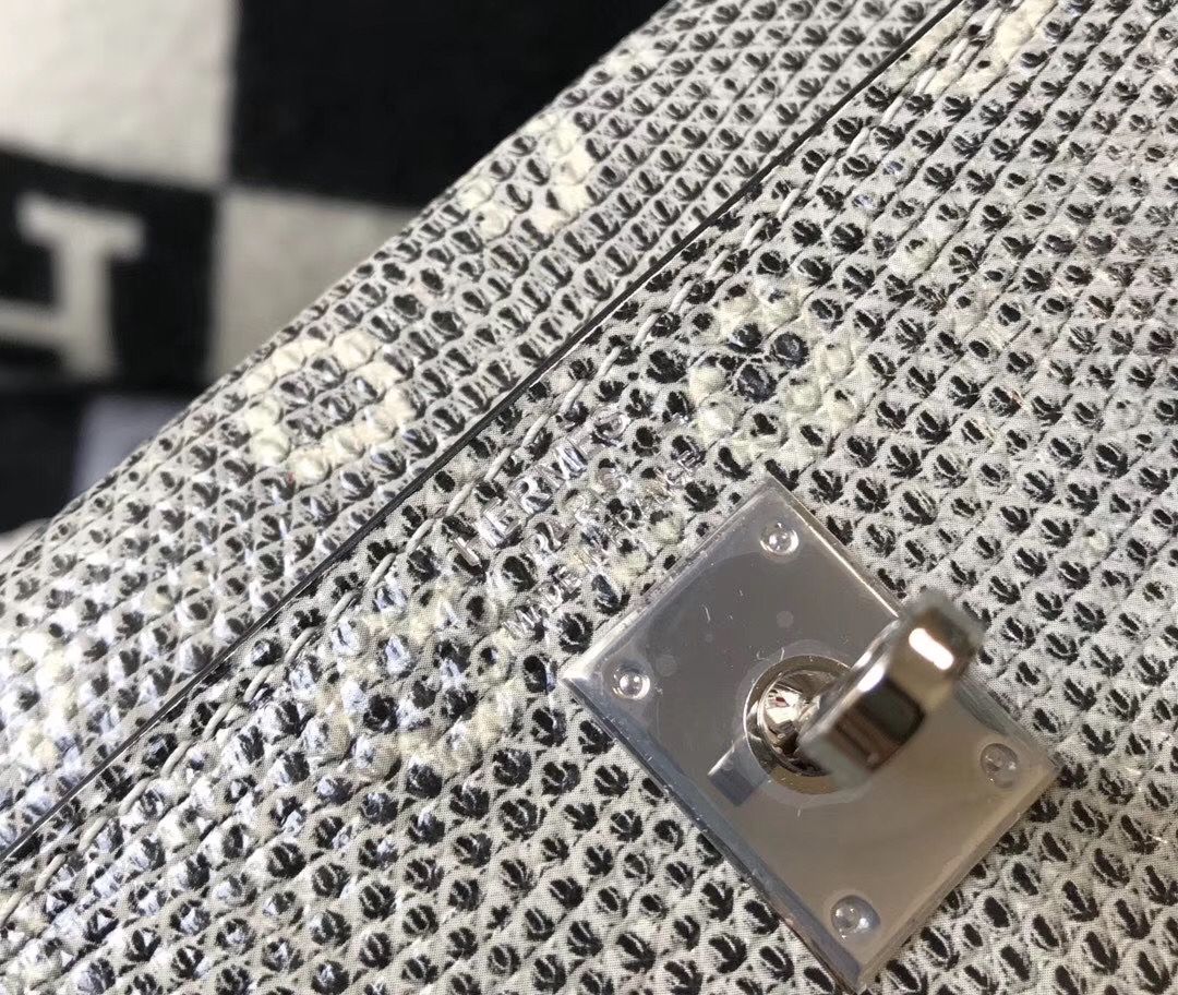 Hermes Kelly 25cm Handmade Bag In Ombre Embossed Natural Lizard - Image 7