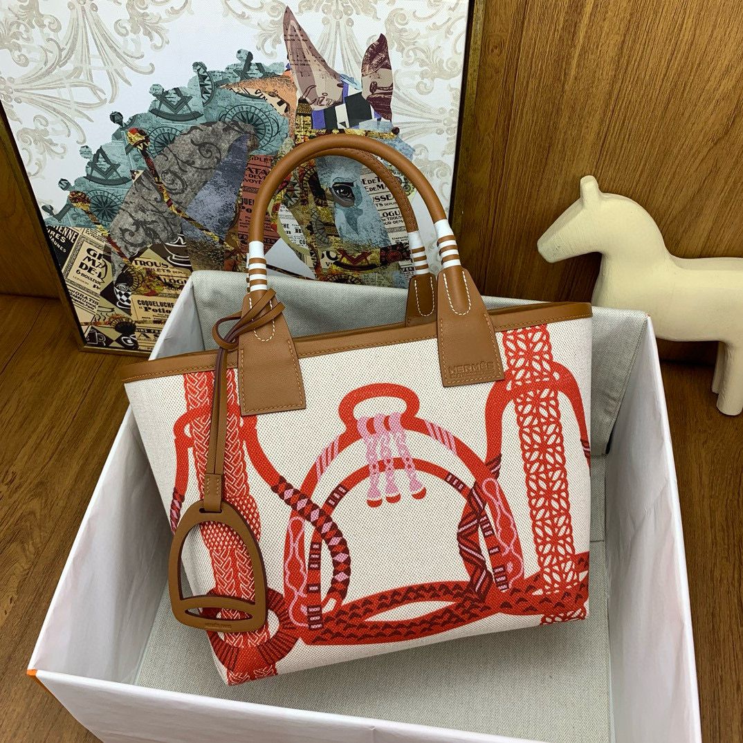 Hermes Steeple 25 Bag in H Plume Canvas with Fantaisie d'Etriers - Image 5